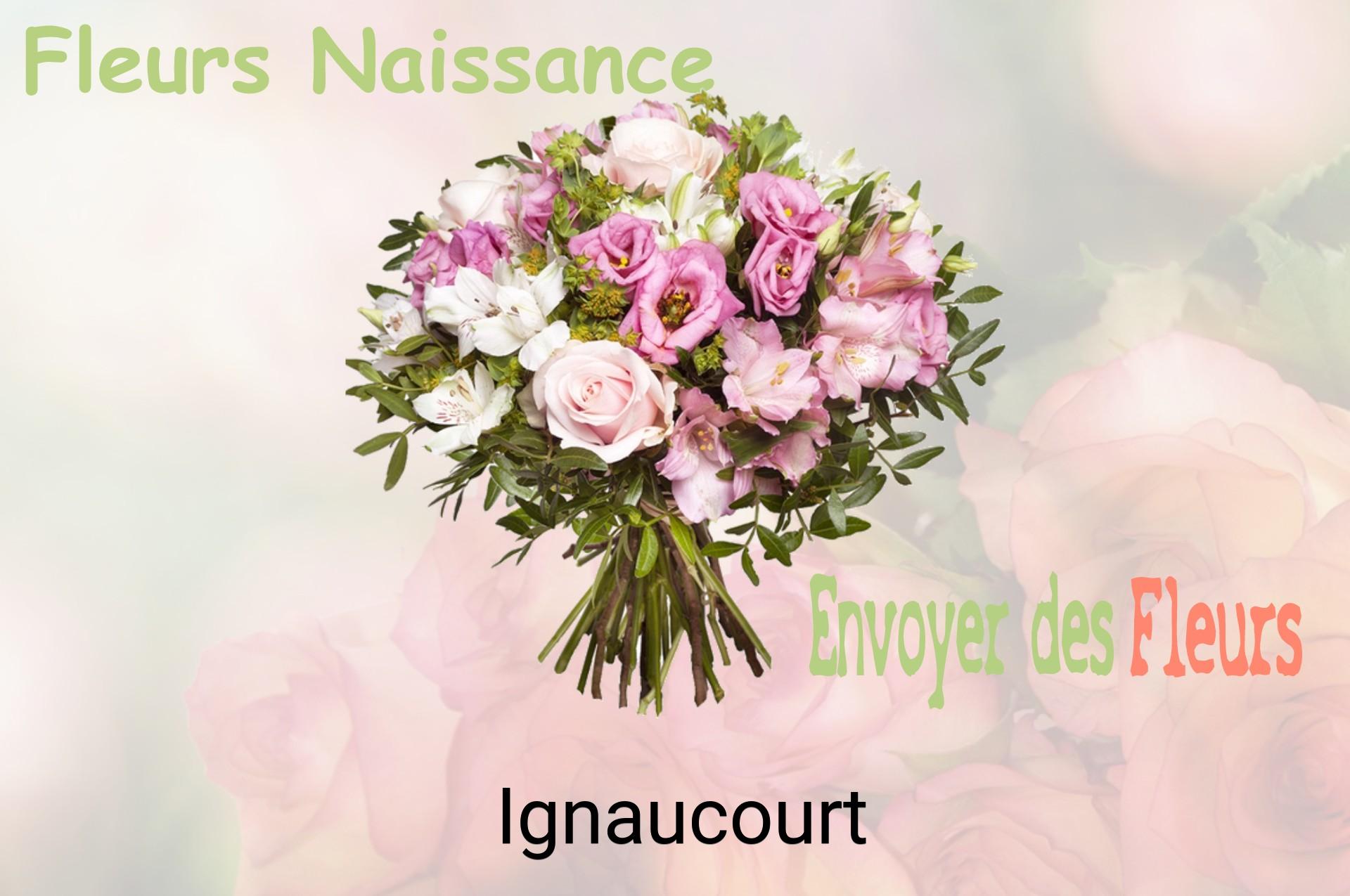 Bouquet de fleurs de naissance livré à Ignaucourt